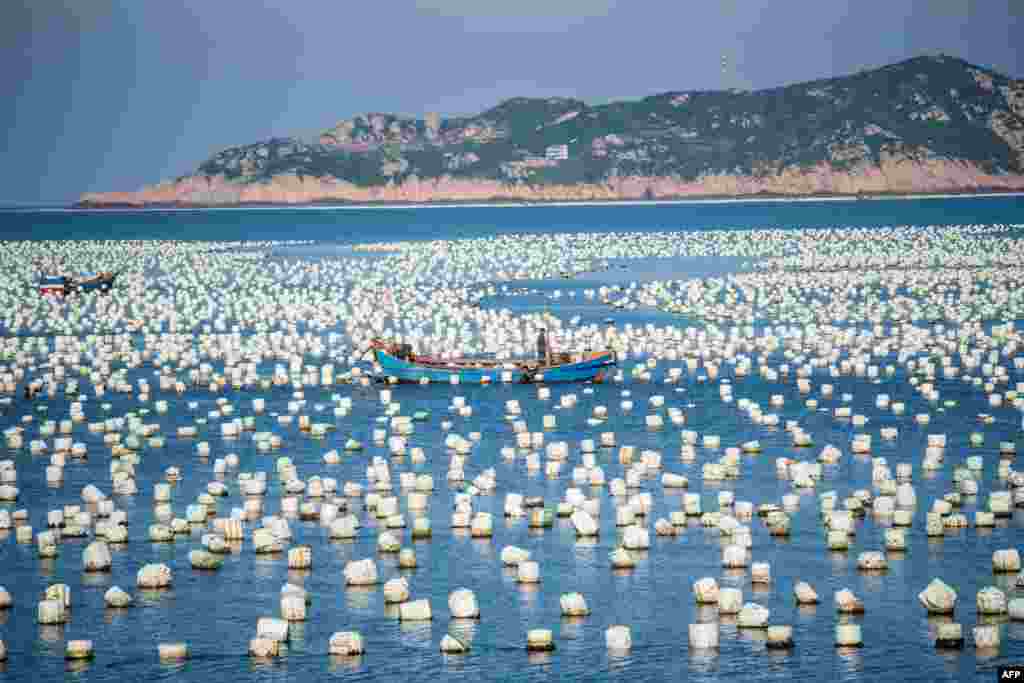 A fisher man in his boat passing buoys in the port of Gouqi Island, Zhejiang province, around 100 kilometers south west of Shanghai, China.