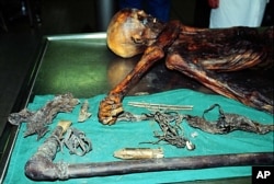 The 5,300-year-old body of a hunter discovered in 1991 by German hikers on the Similaun glacier at a 3,000 meters altitude, on the Italian side of the Alps