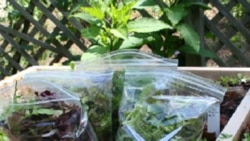 The "Grow It Eat It" Web site, growit.umd.edu, gives gardening advice, including how to build a salad box