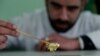 رکوردی تازه برای گرانترین شکلات دنیا در فهرست جهانی گینتس: ۹۵۰۰ دلار