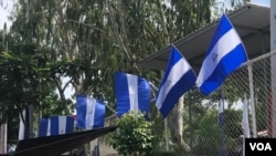 La bandera azul y blanco fue utilizada por los manifestantes durante las protestas, como medio para expresar que no se identificaban con ningún partido político.