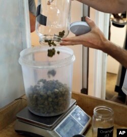 A worker weighs a sample of marijuana for inventory purposes at Utopia Gardens, a medical marijuana dispensary, in Detroit, Oct. 2, 2018.