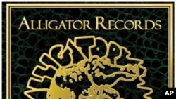 Alligator Records Celebrates 40th Anniversary