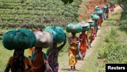 Des travailleurs transportent des sacs remplis de feuilles de thé au Durgabari Tea Estate, à la périphérie d’Agartala, en Inde, le 4 mai 2017.