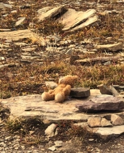 In this photo provided by Nona Windham, Naomi Pascal's teddy bear sits on a rock near the Hidden Lake Trail in Glacier National Park, Montana, Oct. 9, 2020.
