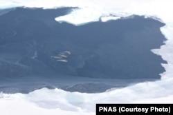 FILE - A pod of narwhals is seen in central Baffin Bay off of the North Atlantic Ocean near Greenland.