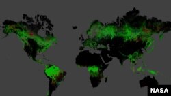 Using Landsat imagery and cloud computing, researchers mapped forest cover worldwide as well as forest loss and gain. 