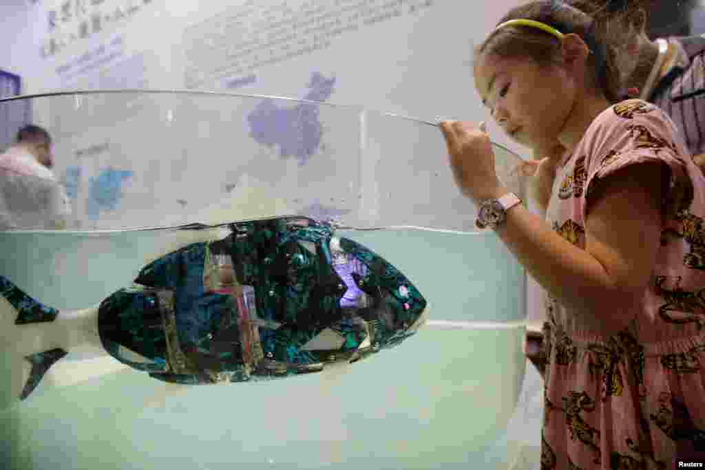 A girl looks at a robotic fish swimming in the water at the World Robot Conference in Beijing, China.