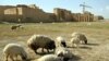 IS Militants Raze Iraq's Ancient Hatra City