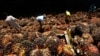 FILE - Workers sort palm fruits at a palm oil processing plant in Lebak, Indonesia, Tuesday, June 19, 2012. (AP Photo/Tatan Syuflana)