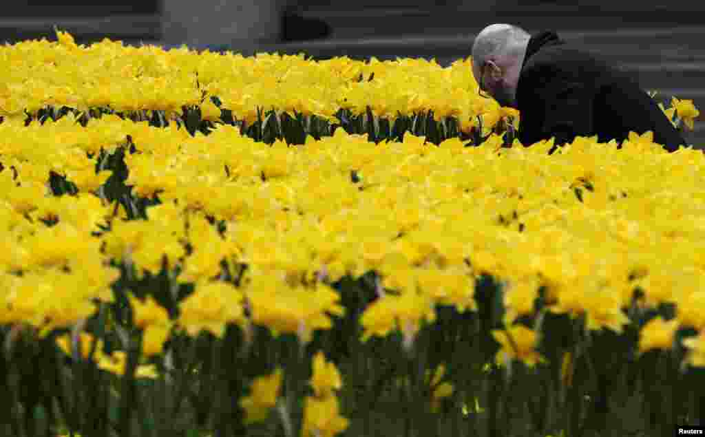A man looks at the installation &quot;Garden of Light,&quot; in central London, Britain.