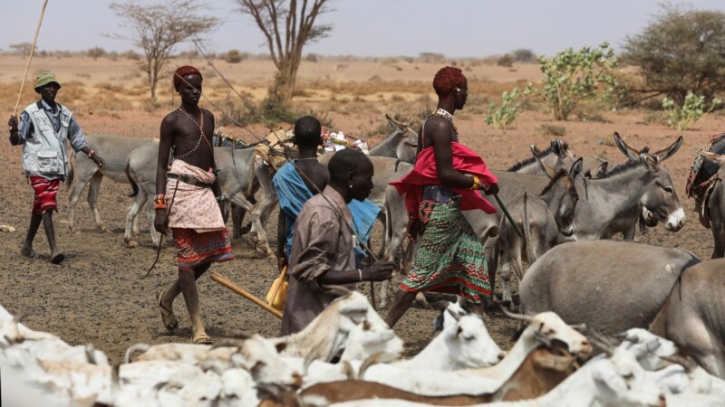 La famine menace 13 millions de personnes dans la Corne de l'Afrique