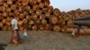 A woman walks with children near logs at a timber yard in Rangoon, Burma, also known as Myanmar, Jan. 31, 2014. 