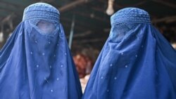 塔利班發佈旅行新法規進一步限制阿富汗婦女