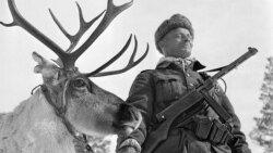 Один из снимков фотоальбома «Warrior of Lapland»