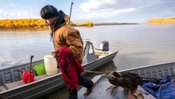 Steven Guinness Jr., 14, carries his hunting rifle into the village after returning from the Stevens family hunting camp, Sept. 15, 2021, in Stevens Village, Alaska. For the first time in memory, both king and chum salmon have dwindled to almost nothing.