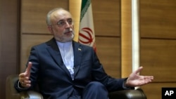 알리 아크바르 살레히 이란 원자력청장이 11일 AP통신과 인터뷰했다.
