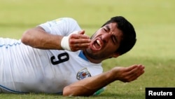 Uruguay's Luis Suarez reacts after clashing with Italy's Giorgio Chiellini during their 2014 World Cup Group D soccer match at the Dunas arena in Natal, June 24, 2014. 