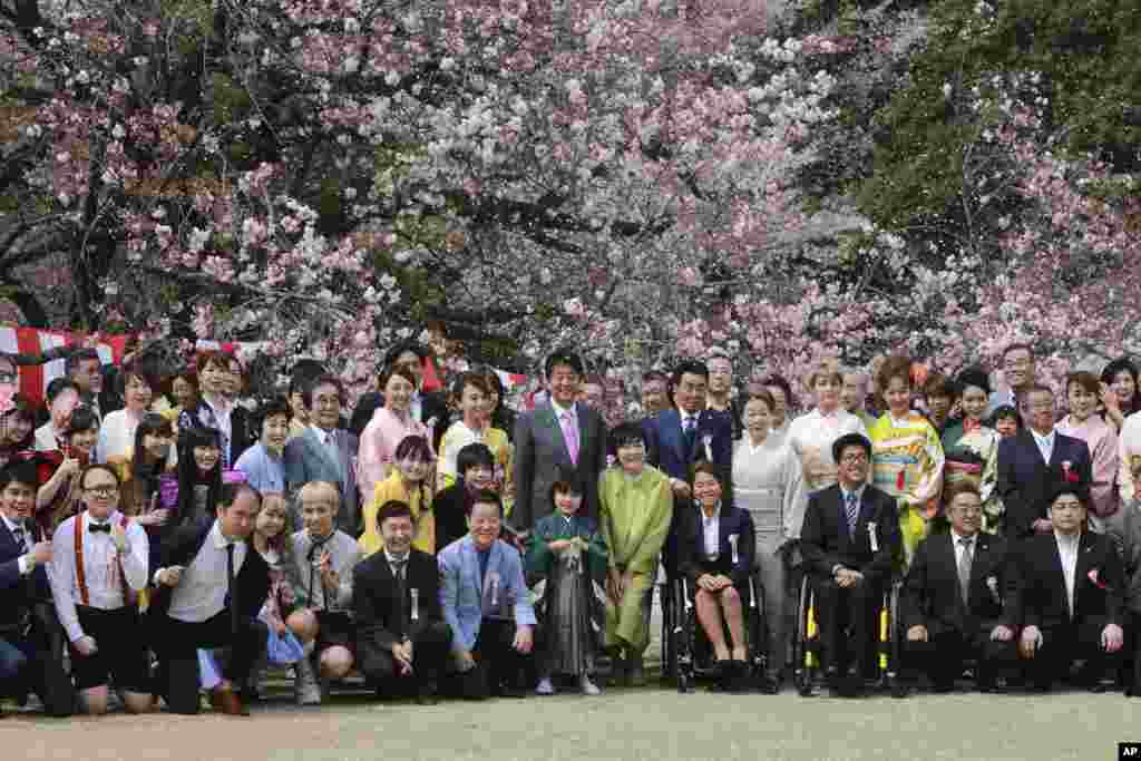 &nbsp;شینزوآبه نخست وزیر ژاپن&nbsp; با کروات صورتی رنگ در جشن معروف شکوفه های گیلاس در توکیوی ژاپن