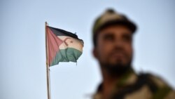 Soldado da Frente POLISARIO e a bandeira da Republica do Sahara