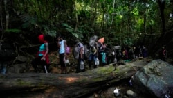 Migrants, mostly Haitians, trek north on their way to crossing the Darien Gap, near Acandi, Colombia, Sept. 15, 2021.