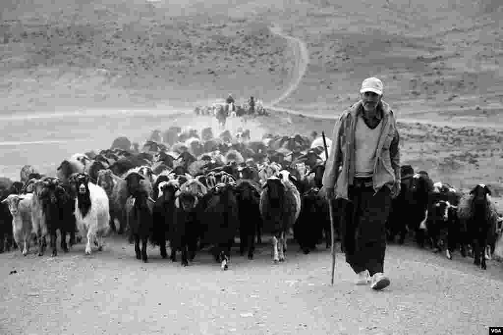 اراک- سد خاکی روستای یاسبلاغ عکس: محسن غریبی میلاجرد (ارسالی شما)