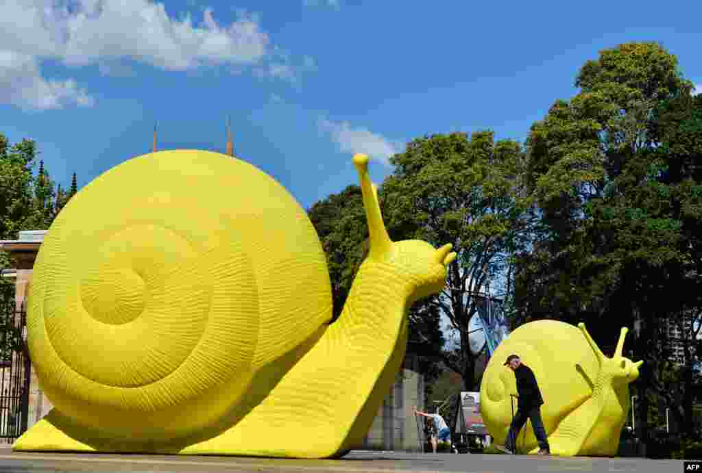 A man walks past giant neon snail sculptures created by the art collective Cracking Art Group next to Hyde Park in the central business district of Sydney, Australia. The snails, which are made from recycled plastic, have been placed in different locations of the central business district in connection with the upcoming city&#39;s Art and About festival.