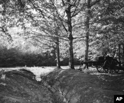 FILE - A World War I trench and artillery piece remain in the dark interior of Belleau Wood in France, June 5, 1948. The Battle of Belleau Wood, between U.S. Marines and German troops, was fought here between June 1-26, 1918.