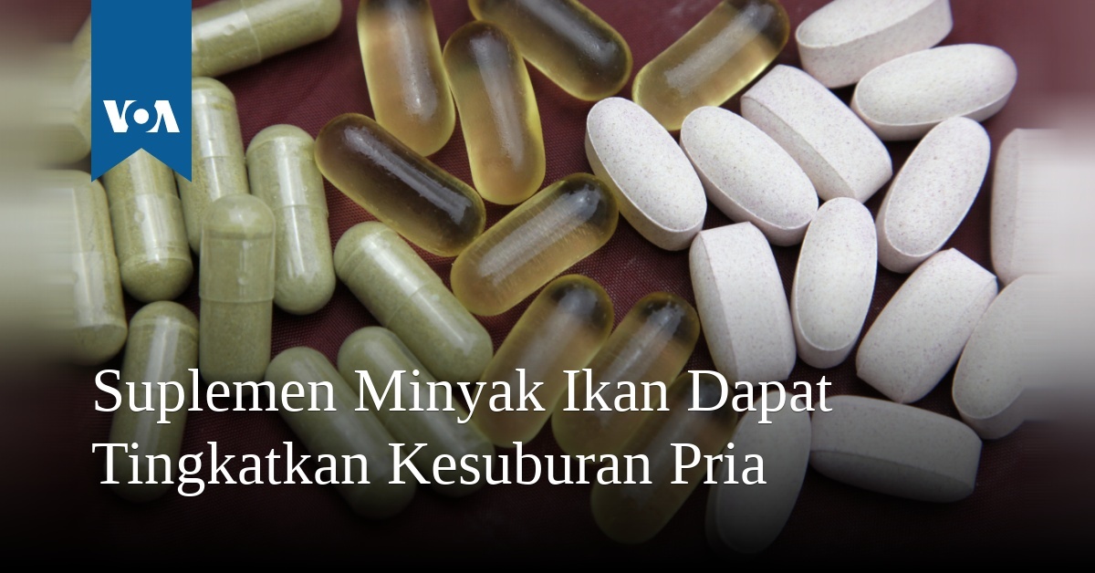 Suplemen Minyak Ikan Dapat Tingkatkan Kesuburan Pria