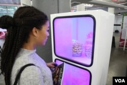 An attendee examines mushrooms inside a Smallhold vertical farm unit, Nov. 3, 2017. (T. Trinh/VOA)