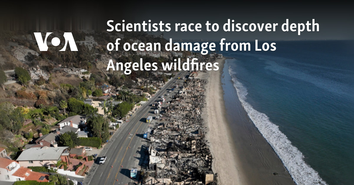 Scientists race to discover depth of ocean damage from Los Angeles wildfires