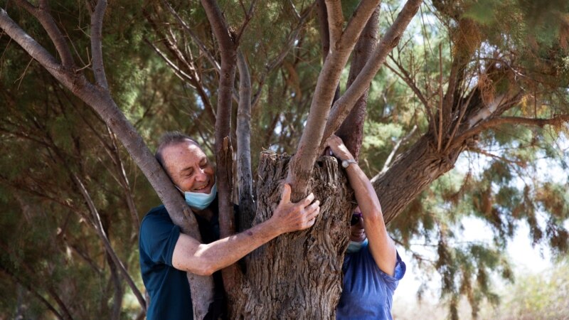 Feeling Sad? Hug a Tree!