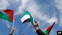巴勒斯坦人挥舞着国旗（资料照片）