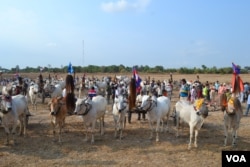 Participants are preparing for oxcart race in Rorleng Krel commune, Samrong Torng district, Kampong Speu province on April 07th, 2019. (Nem Sopheakpanha/VOA)