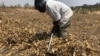 FAO Warns Southern Africa to Prepare for Drought