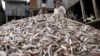EU Ban on Cambodian Fish Remains in Place
