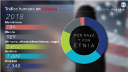 Tráfico humano en EE.UU. por raza y etnicidad.