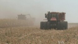 Cutting Ethanol Subsidy Might Not Impact Food Prices