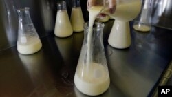 FILE - A lab technician at the Mothers' Milk Bank of New England in Newtonville, Mass., pours donated breast milk into another flask to prepare for pasteurization. Kenya will soon be getting Africa's second bank for donated breast milk. 