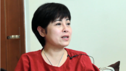 Bà Nguyễn Thúy Hạnh. Photo YouTube Vận động ứng cử ĐBQH 2016.