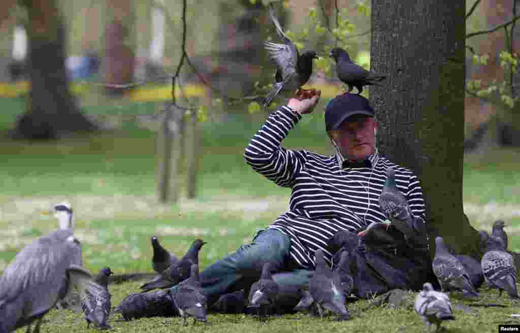 A man feeds birds in St Jame&#39;s Park in London, Britain.