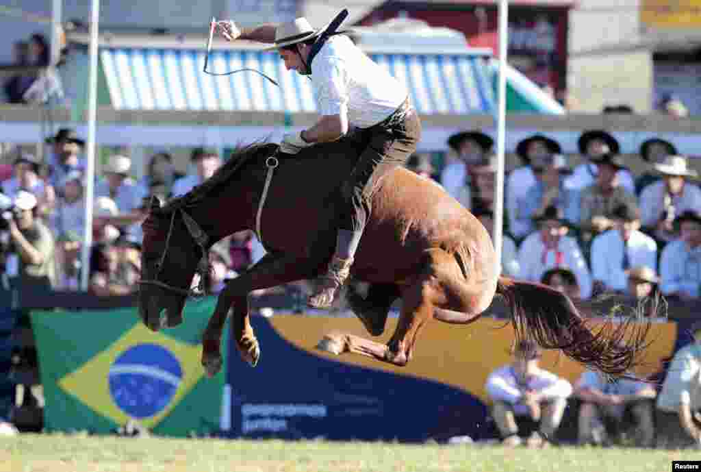 A gaucho rides a wild horse during the annual celebration of Criolla Week in Montevideo, Uruguay, Mar. 27, 2013. 