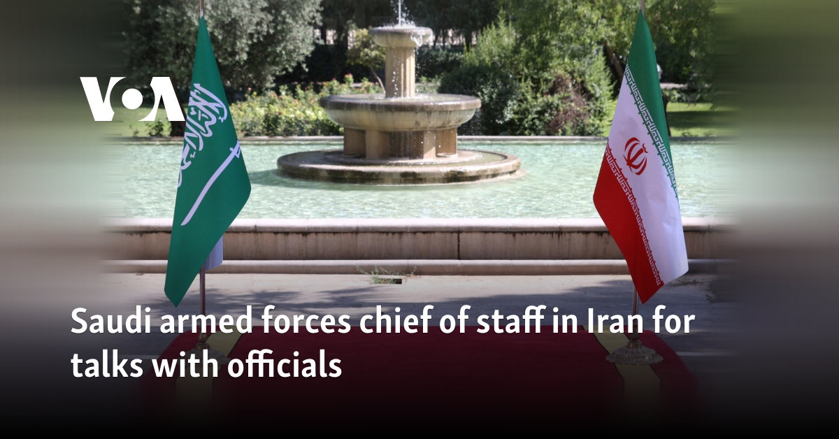 Saudi armed forces chief of staff in Iran for talks with officials 