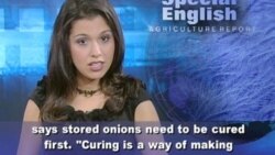 Grow It Yourself: Onions Are Nothing to Cry About