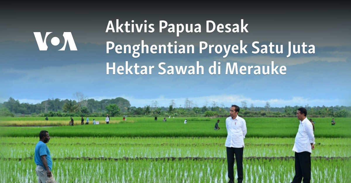 Aktivis Papua Desak Penghentian Proyek Satu Juta Hektar Sawah di Merauke
