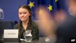 Young Swedish environmental activist Greta Thunberg reacts after giving a speech during a special meeting of the Environment Committee at the European Parliament in Strasbourg, Eastern France, Apr. 16, 2019. 