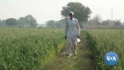 Why a Village in North India Supports Farmers Protesting New Laws