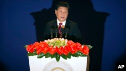 지난 1월 베이징에서 열린 아시아인프라투자은행(AIIB) 창립총회에서 연설하고 있는 시진핑 중국 국가주석.