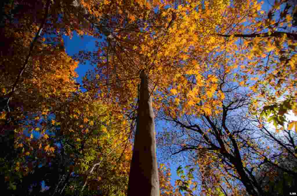 پاییز در منطقه قاهان قم. عکس: مصطفی معراجی