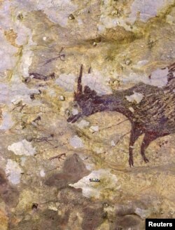 A cave painting dating back to nearly 44,000 years, according to a study using uranium-series analysis and was published in 'Nature' journal, is seen in Leang Bulu' Sipong 4 limestone cave in South Sulawesi, Indonesia.